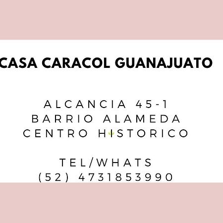 Casa Caracol Guanajuato 아파트 호텔 외부 사진