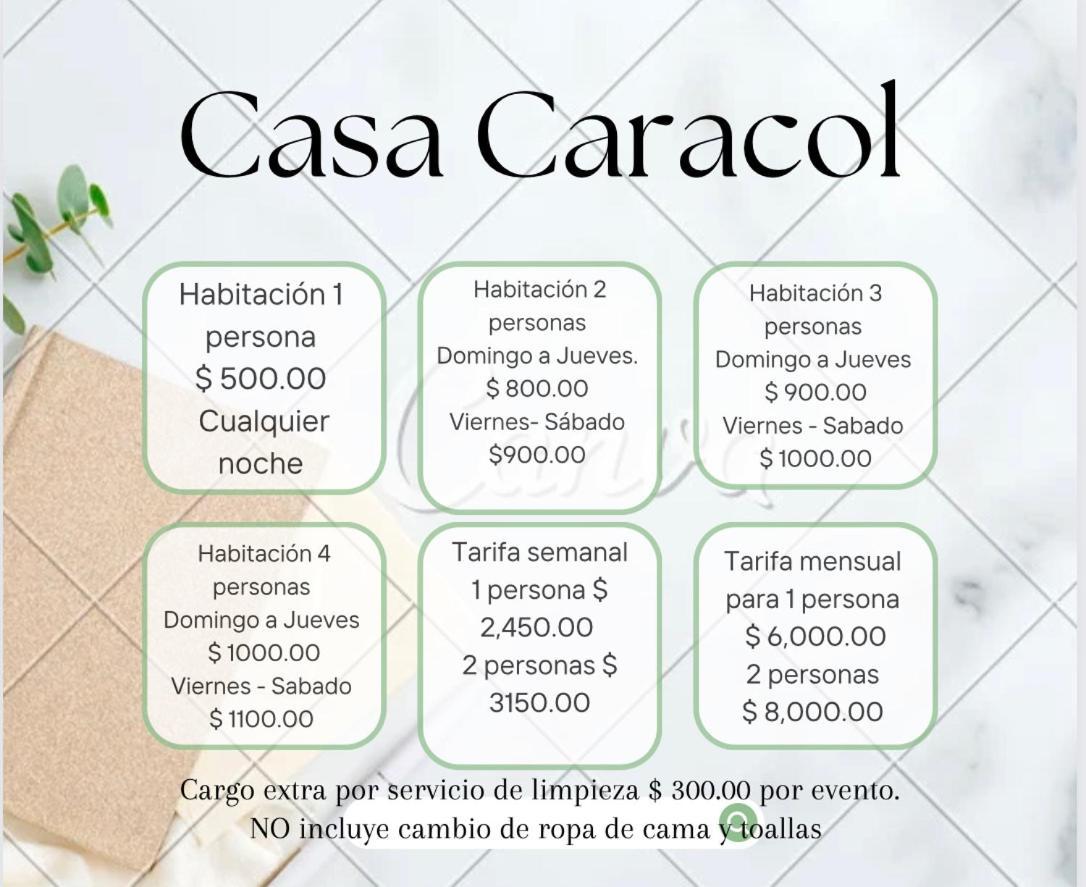 Casa Caracol Guanajuato 아파트 호텔 외부 사진